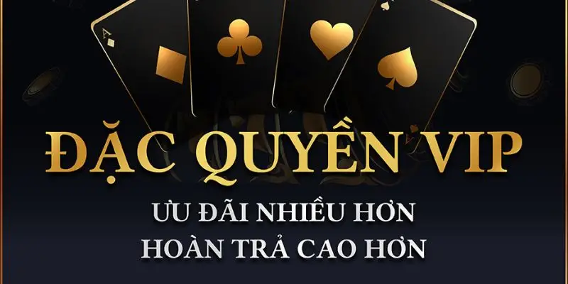 Thành viên VIP Tobet88 – Những ưu đãi và quyền lợi độc quyền