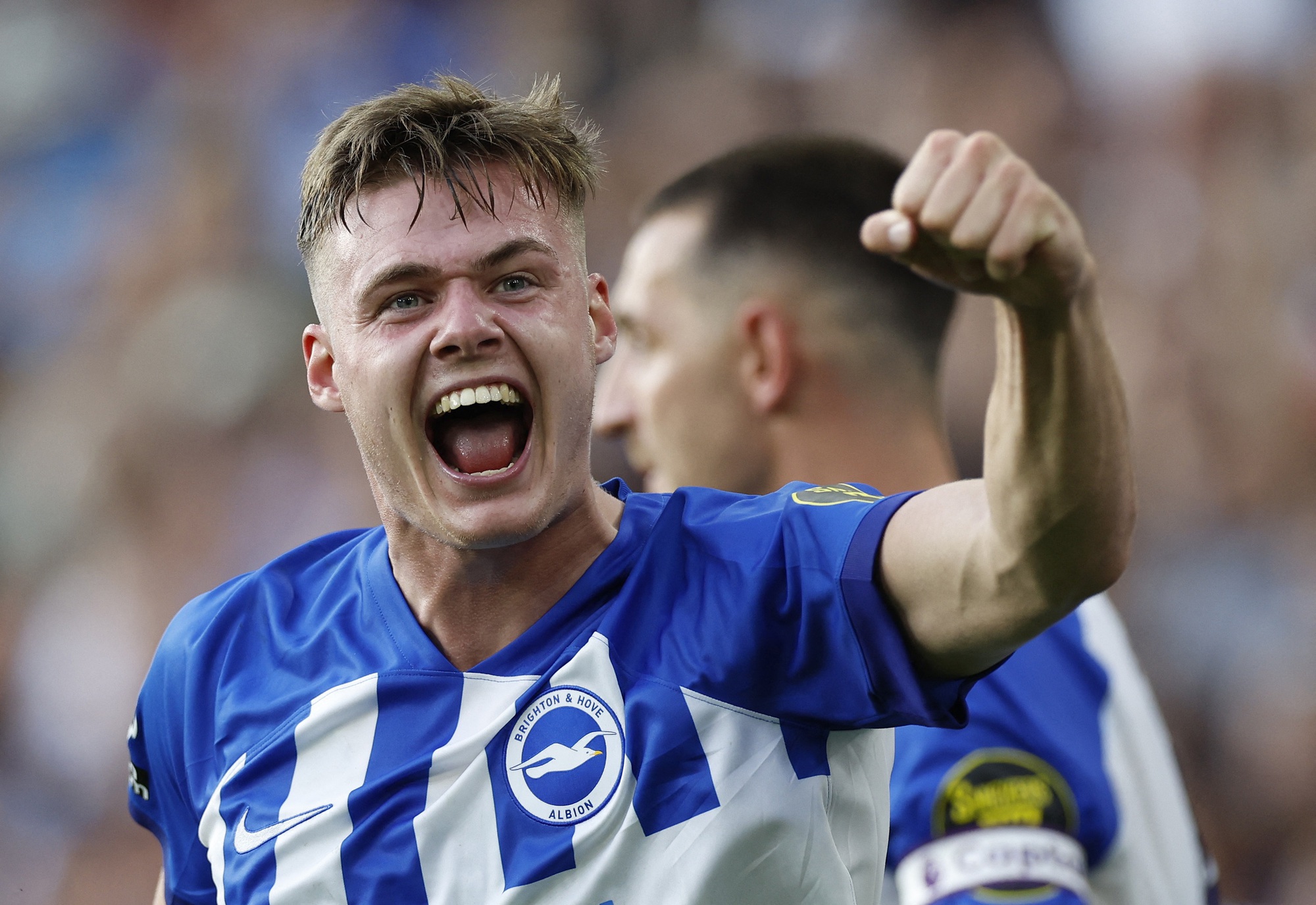 Thông tin thú vị về đội bóng Brighton Hove Albion - Khám Phá Lịch Sử và Thành Tựu Đáng Kể