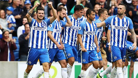 Thông tin thú vị về đội bóng Brighton Hove Albion - Khám Phá Lịch Sử và Thành Tựu Đáng Kể