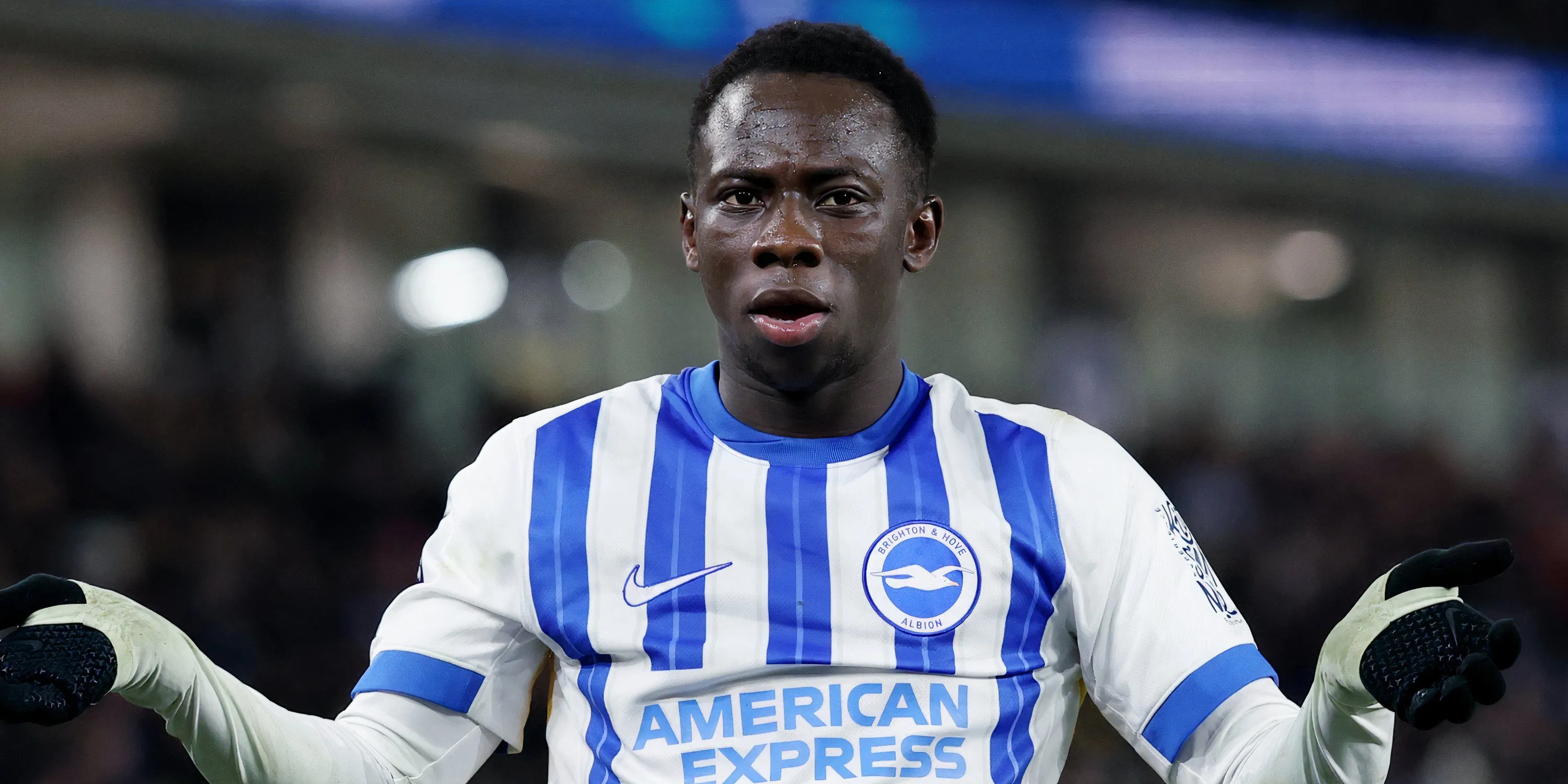 Cầu thủ trẻ Yankuba Minteh trong màu áo Brighton &amp; Hove Albion