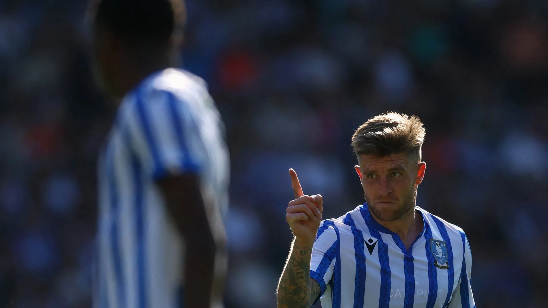 Josh Windass ăn mừng bàn thắng quan trọng trong màu áo Sheffield Wednesday