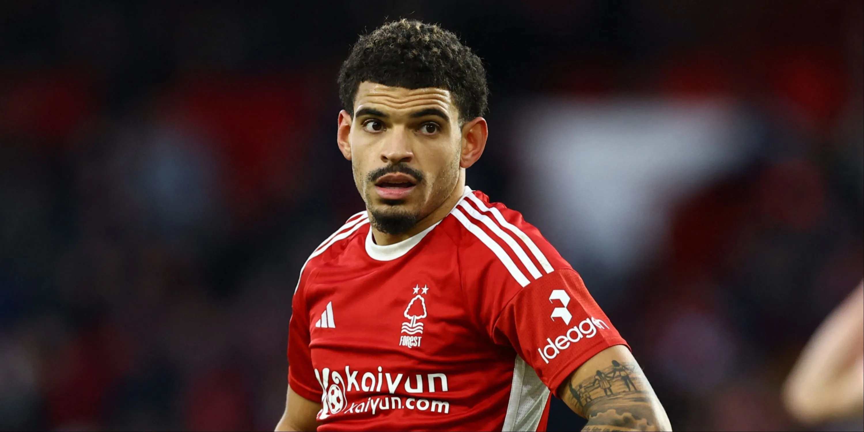 Morgan Gibbs-White, cầu thủ của Nottingham Forest