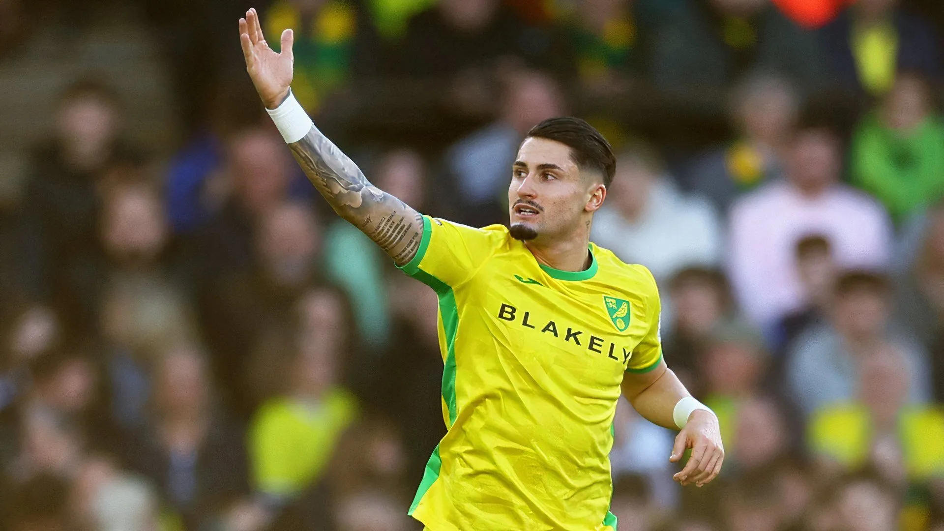 Borja Sainz thi đấu trong màu áo Norwich City