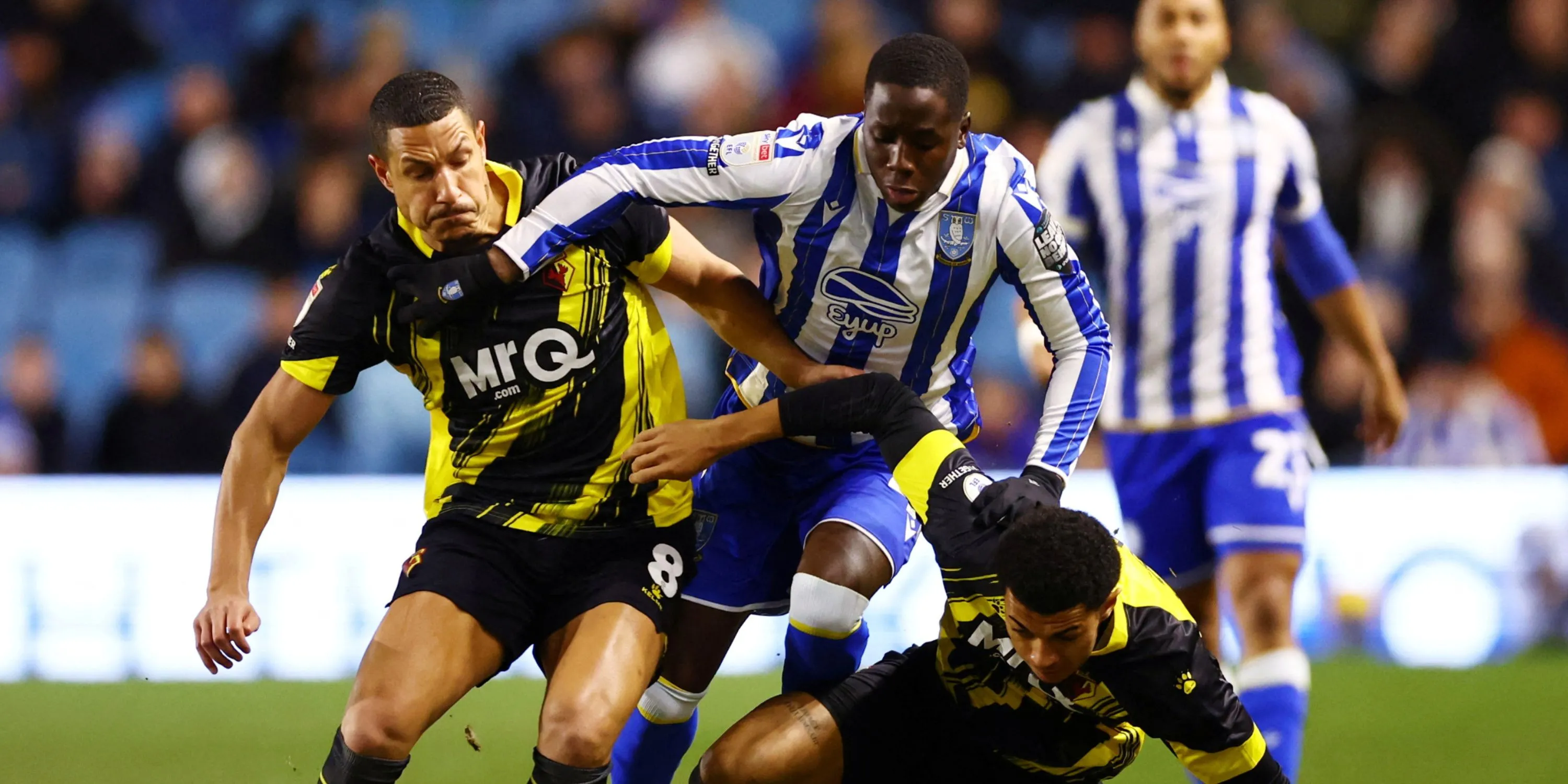 Gassama ăn mừng bàn thắng cho Sheffield Wednesday