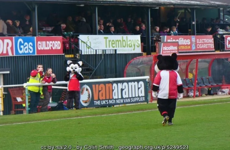 Linh vật K.C. Kat của CLB Woking FC trên sân Kingfield