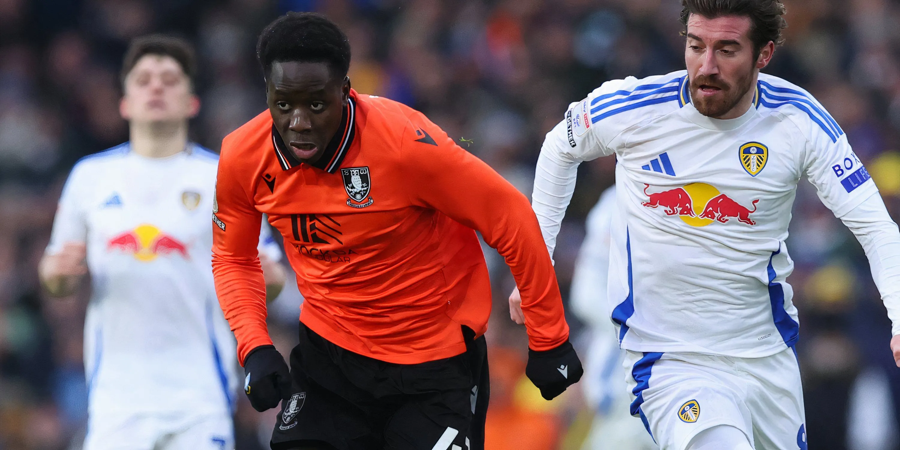 Tiền đạo Djeidi Gassama trong màu áo Sheffield Wednesday