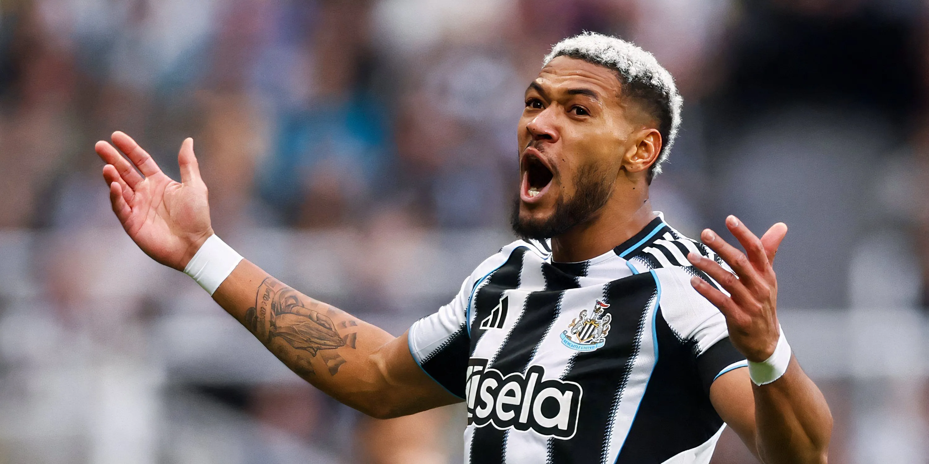 Joelinton thi đấu dưới kỳ vọng trước Brighton
